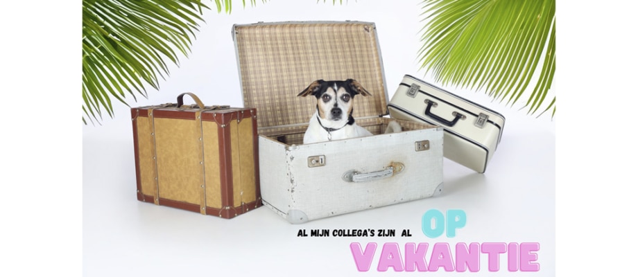 Vakantiegroet